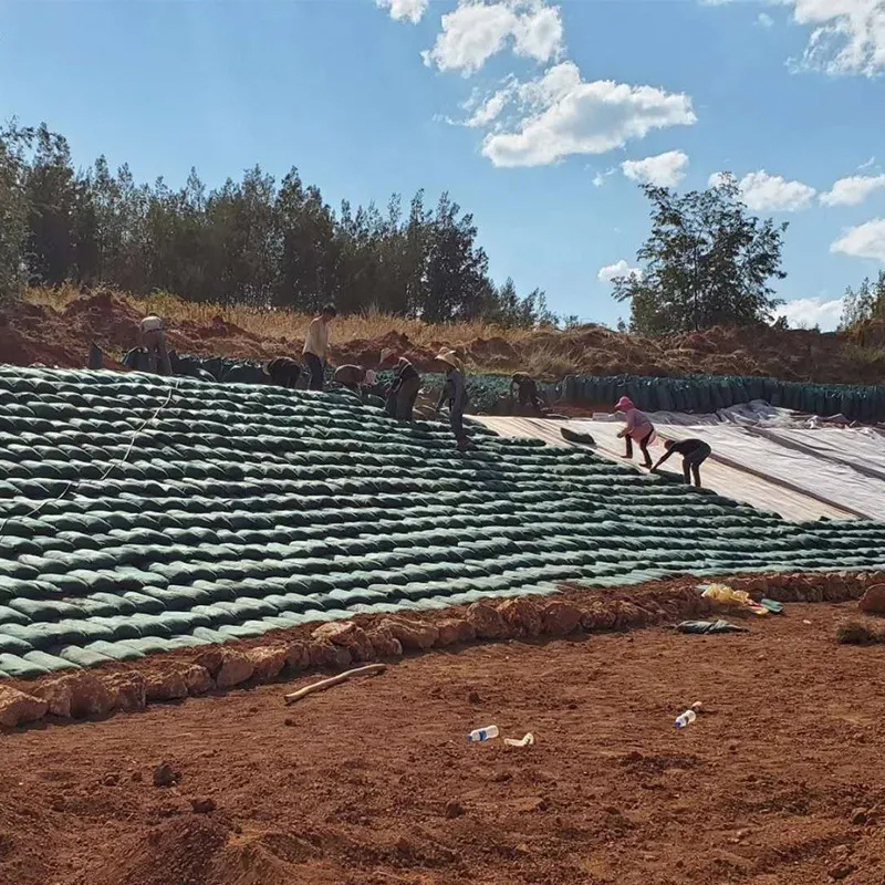 Slope protection Geotextile Bag