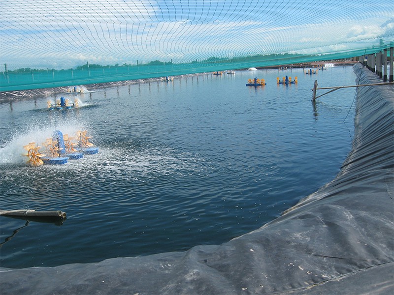 How to choose aquaculture geomembrane?