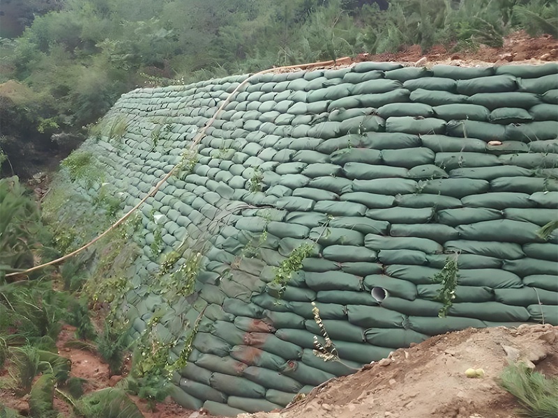 What are the uses of geobags in slope protection projects?