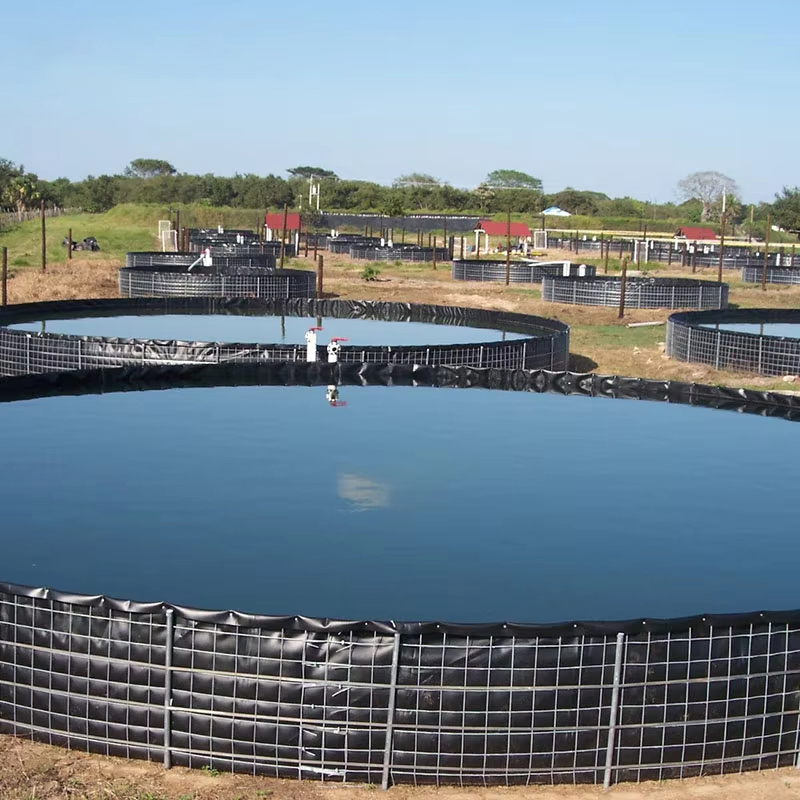 Geomembrane for Aquaculture