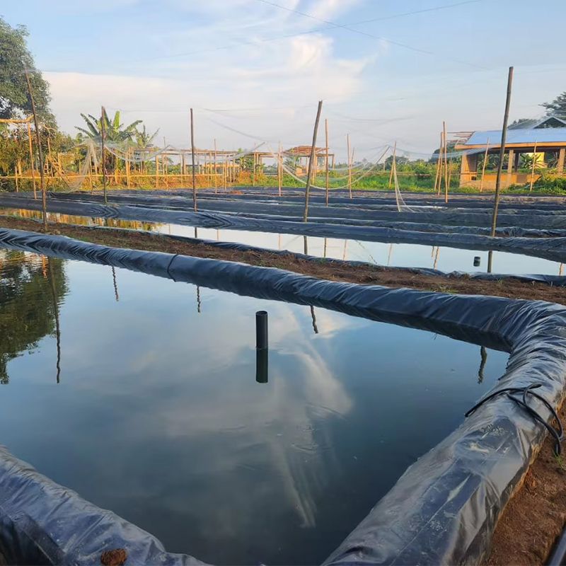 EVA Geomembrane