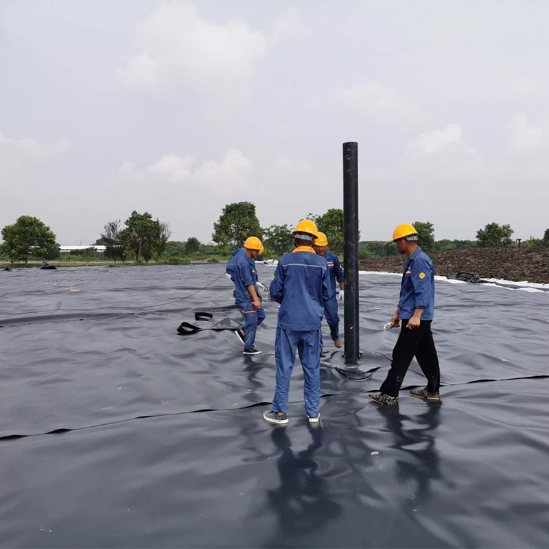 TPO Geomembrane