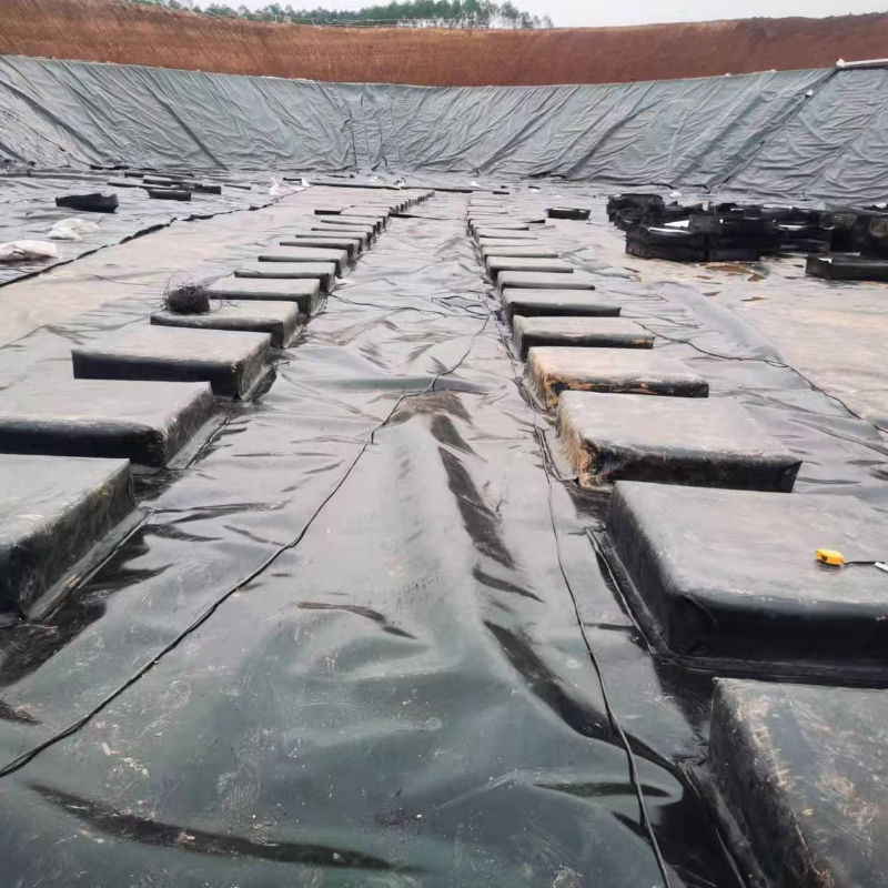 TPO Geomembrane
