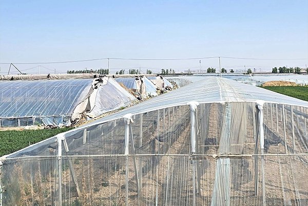 Greenhouse Film Project for Agricultural Plantation