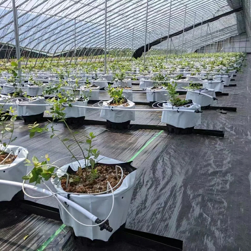 Weed Control Fabric Weed Control Fabric