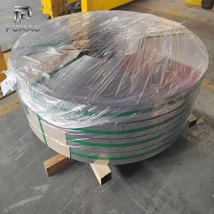 201 Stainless Strip