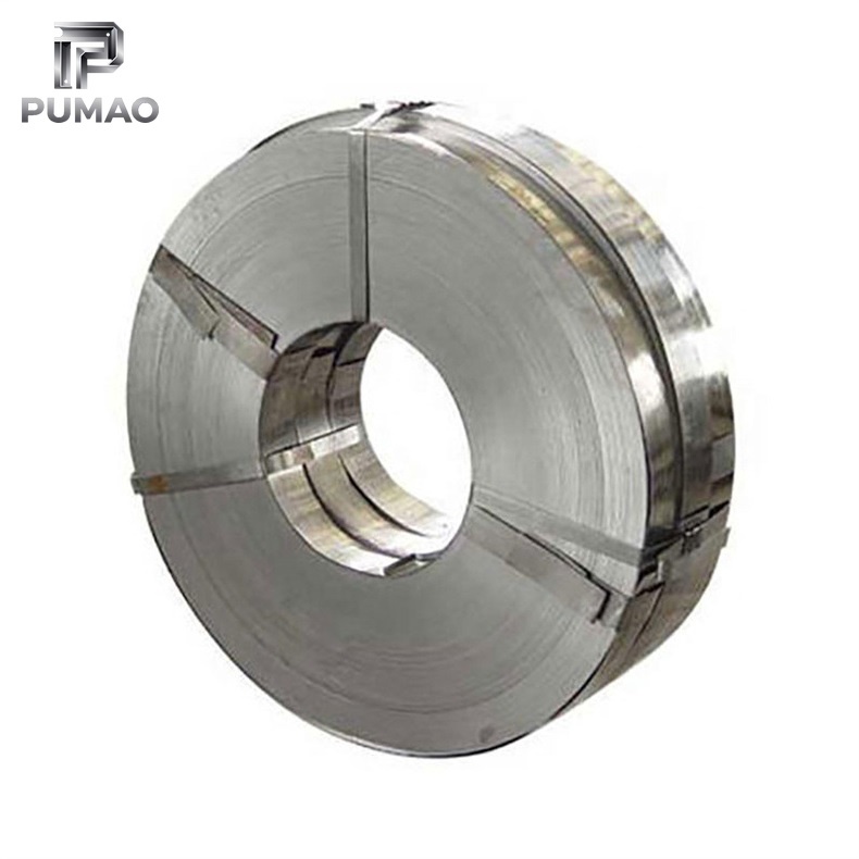310 Stainless Strip
