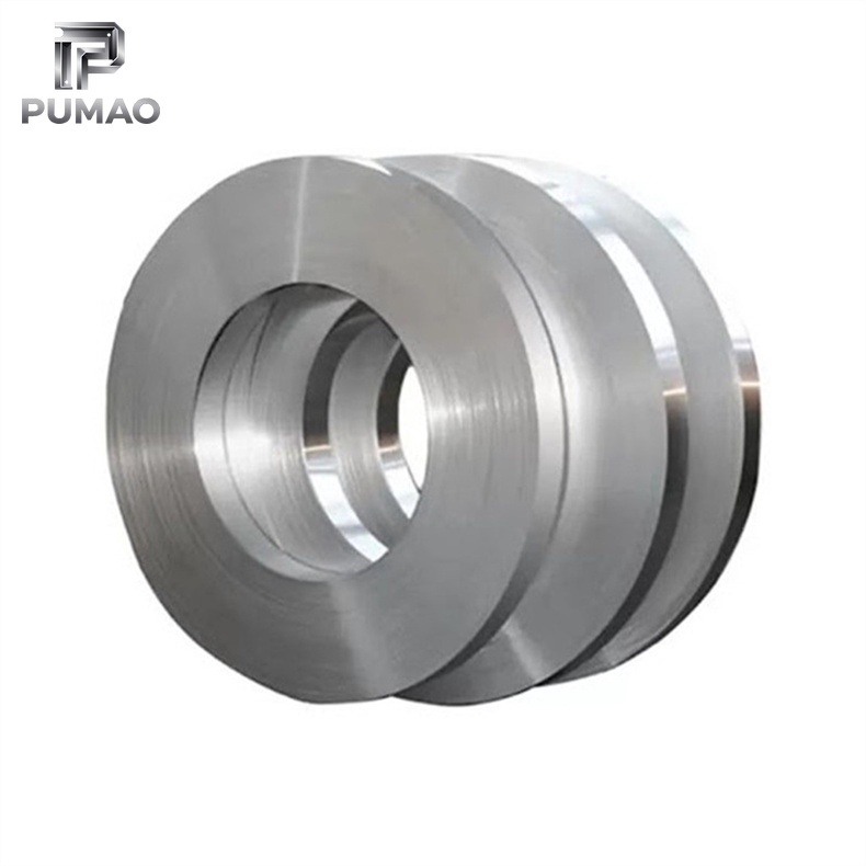 201 Stainless Strip