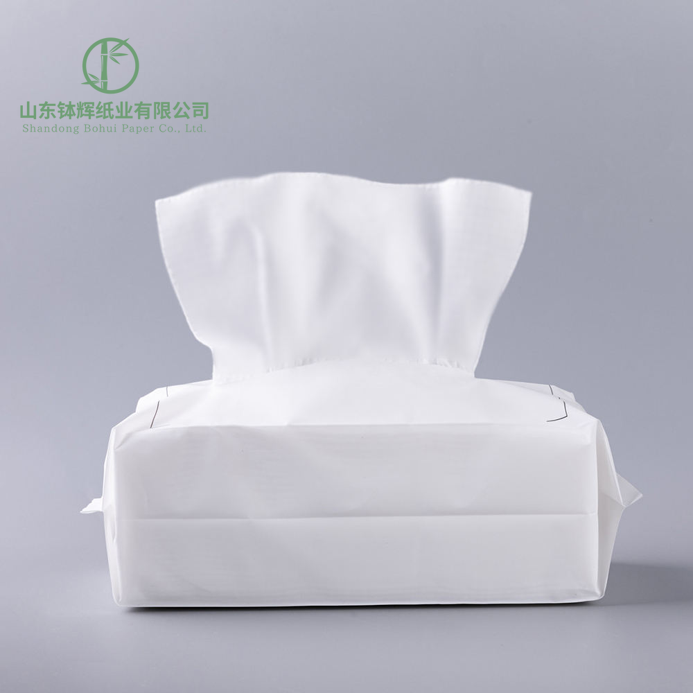 Disposable Toilet Paper  In Stock