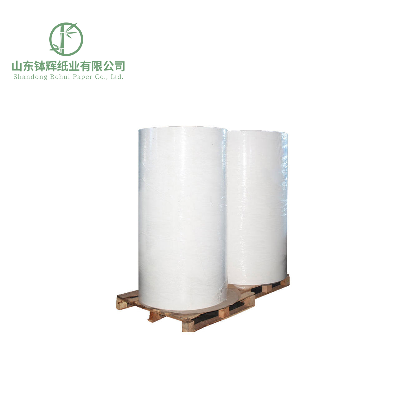 Thermal Paper Roll