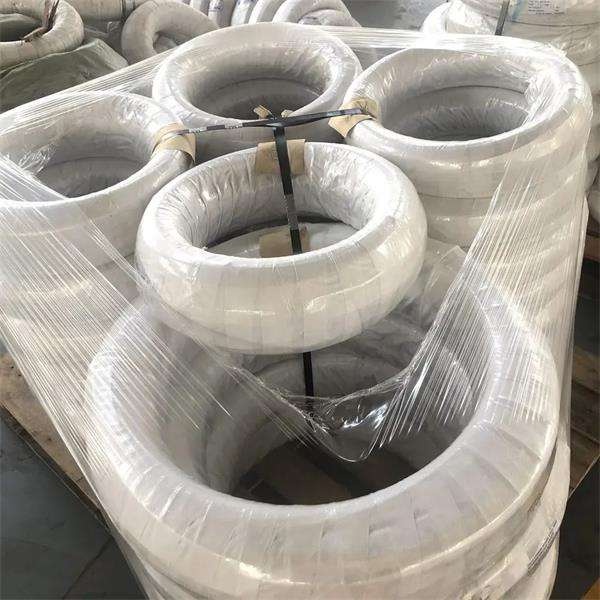 Stainless Steel Wire