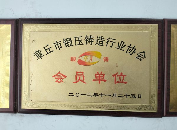 Member of the Forging and Casting Association