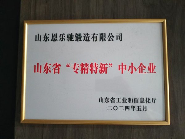Shandong Province's specialized, refined, unique, and innovative small and medium-sized enterprises
