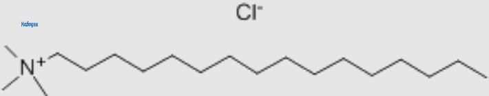 N-Hexadecyltrimethylammonium Chloride CAS#112-02-7