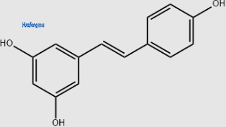 Resveratrol#501-36-0