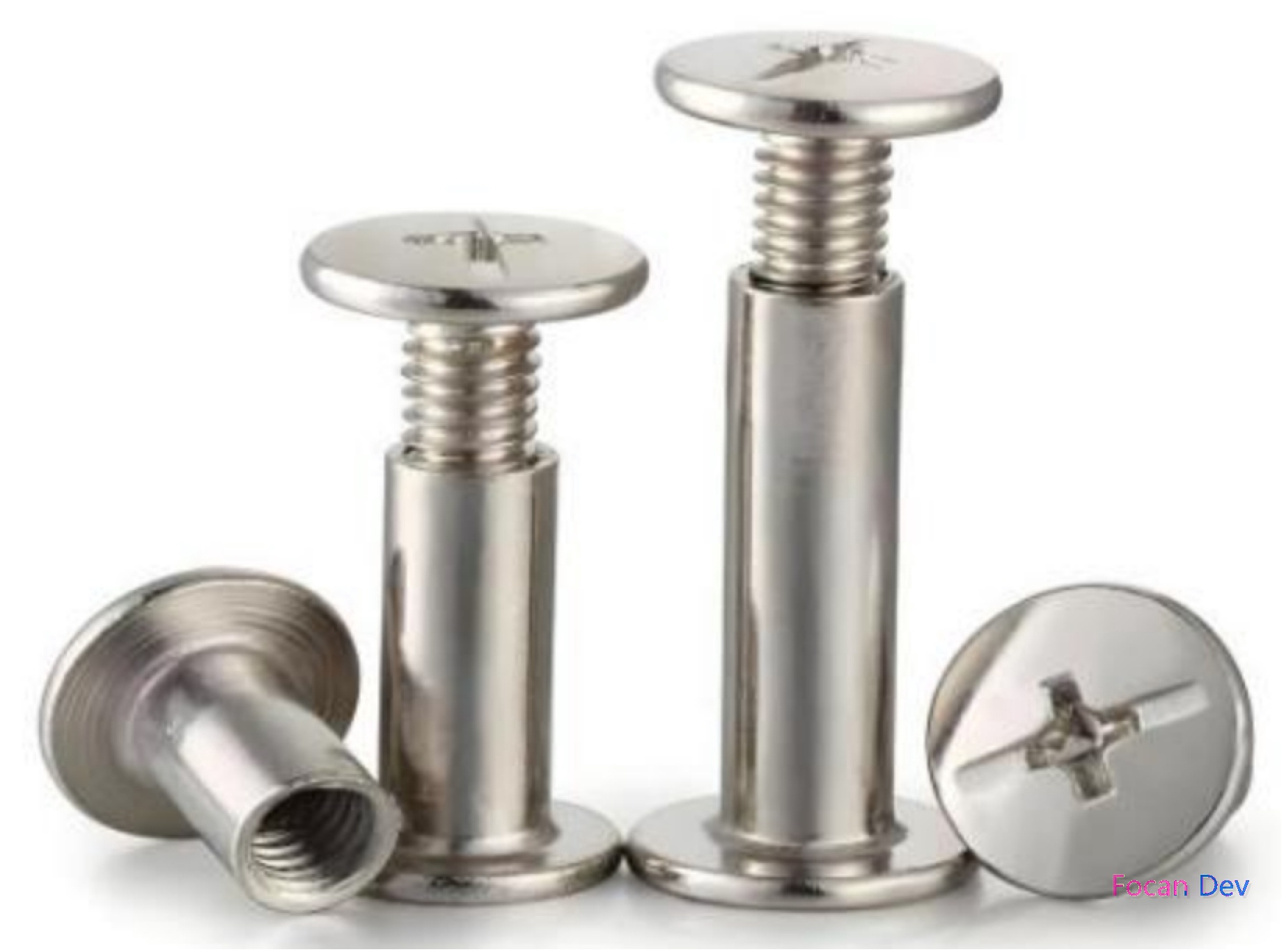 Cold Heading Die & Formed Rivets Nuts