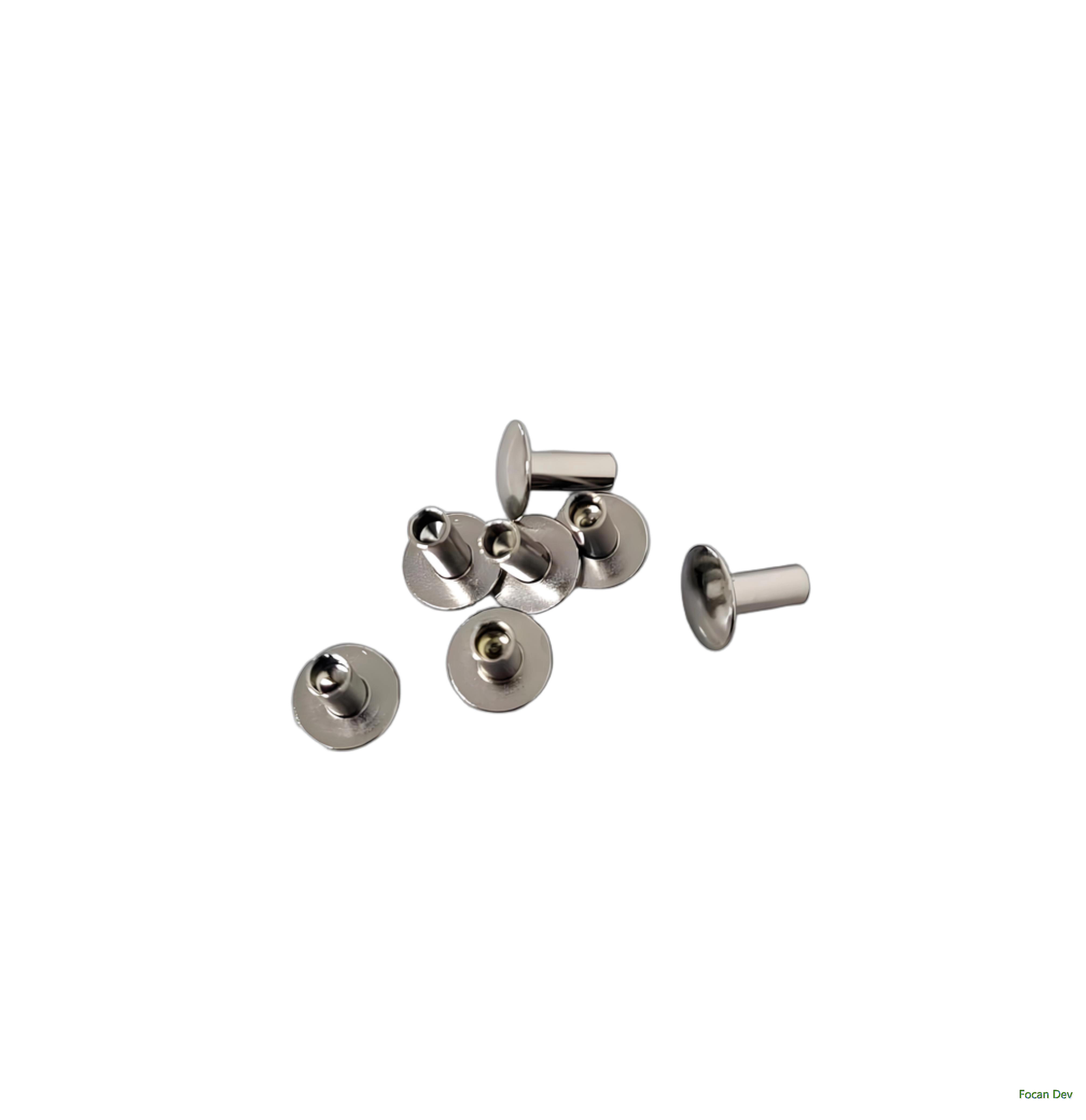 Nickel-plated flat round head semi-hollow rivets made of carbon steel length 10 mm