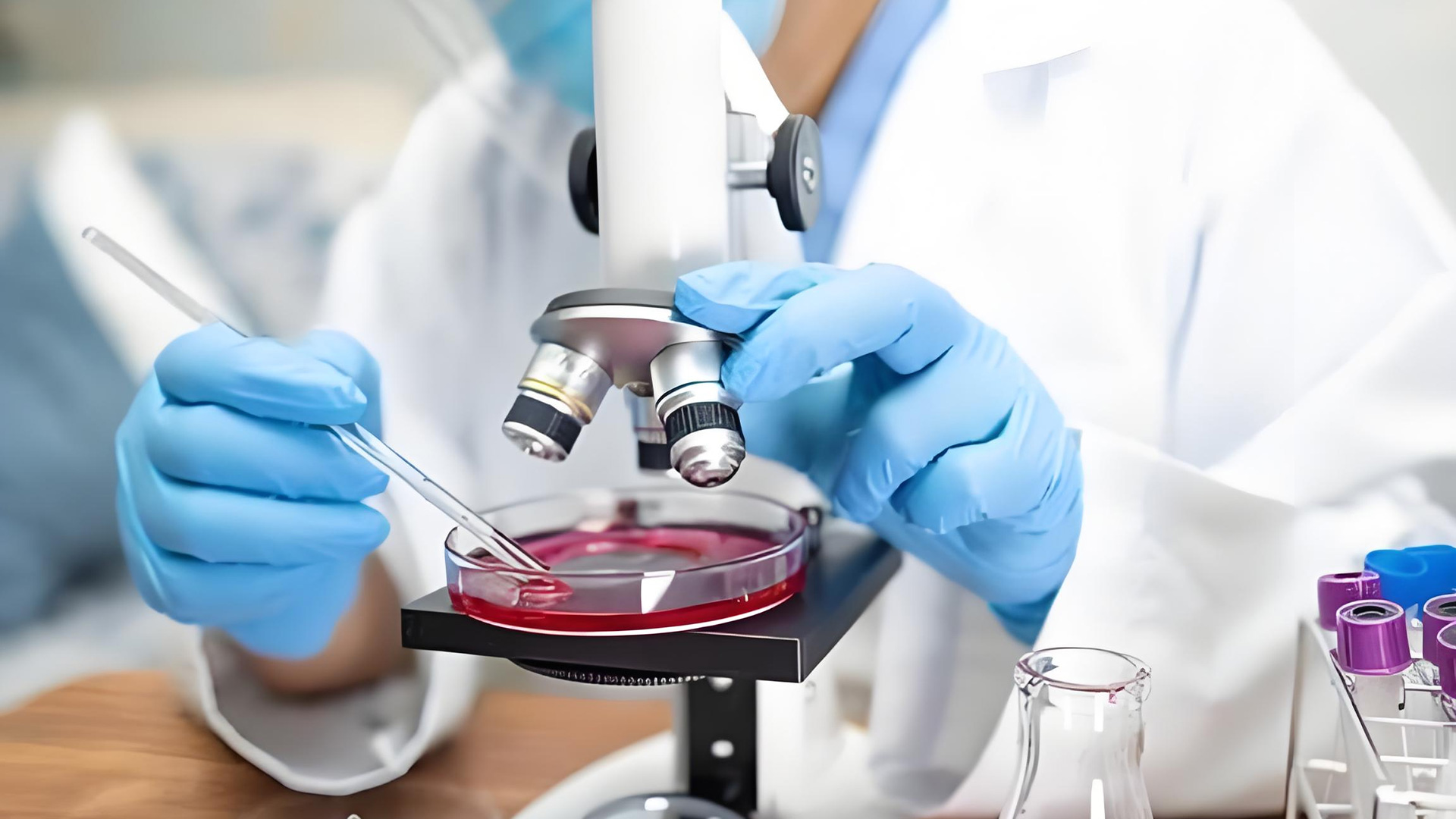 Why More and More Companies Choose Customized Biological Amino Acid Solutions