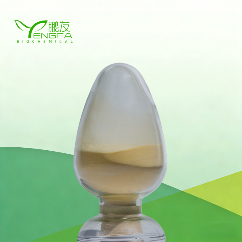 Amino Resin 80 Powder (Chlorine-Free)