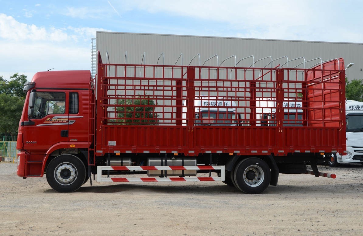 Shacman L5000 4x2 heavy duty cargo truck side view showing 4x2 axle configuration and cargo bed