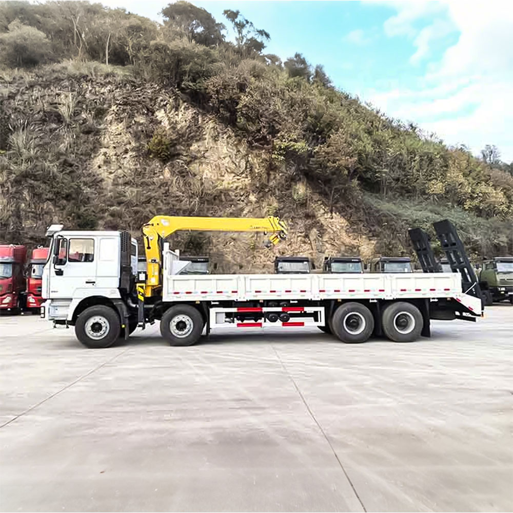 Guindaste montado em camião Shacman F3000 8×4