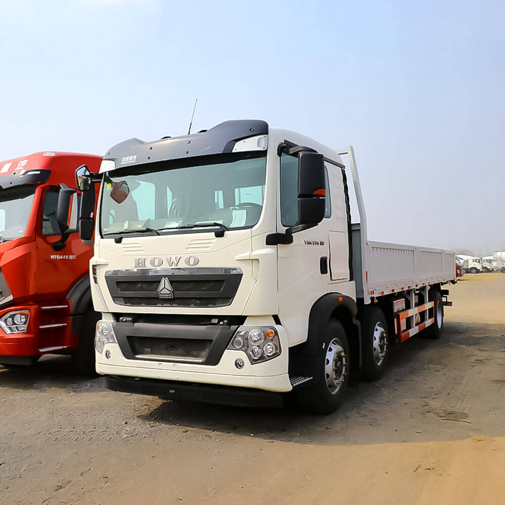 Howo T5G 270HP 6X4 Camión de Carga