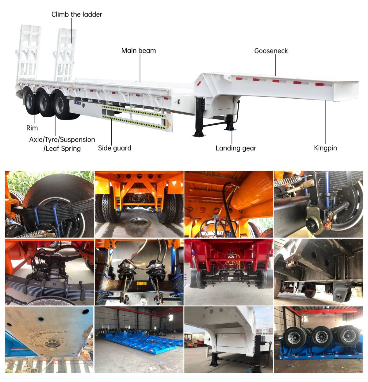 ZW Group lowbed semi-trailer series technical details: reinforced main beam, heavy-duty mechanical suspension, multi-axle options, and spring loading ramps for heavy equipment transport.