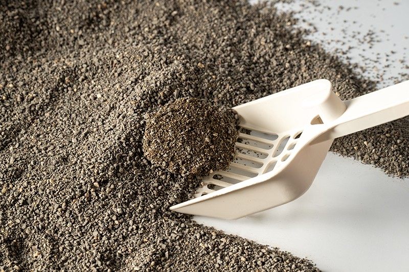 Strong Clumping Cat Litter vs Regular Litter: Which Costs Less Over Time?