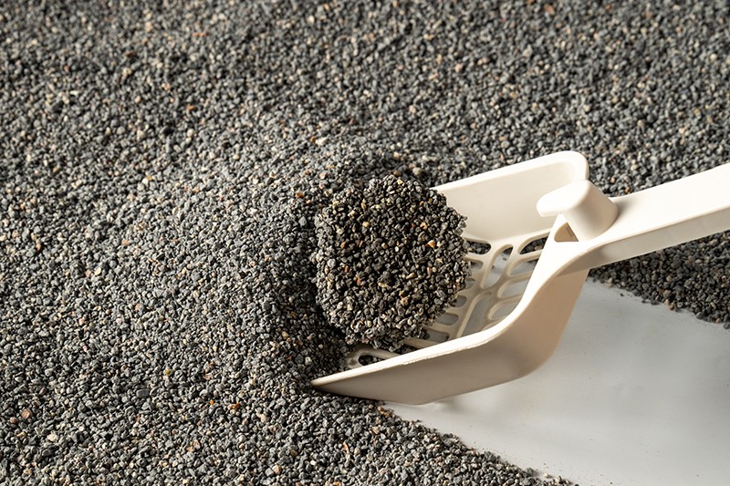 Odor lock cat litter
