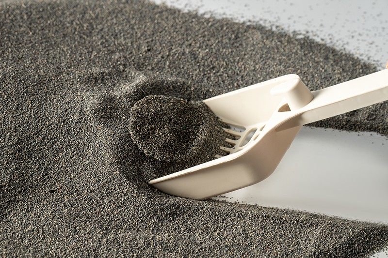 Does dust free cat litter really cause breathing problems?