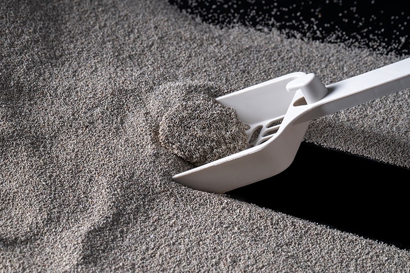 Can Low-Dust Cat Litter Really Help Allergic Cat Owners?