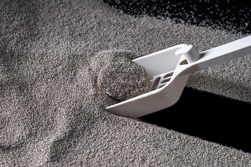 Can Low-Dust Cat Litter Really Help Allergic Cat Owners?