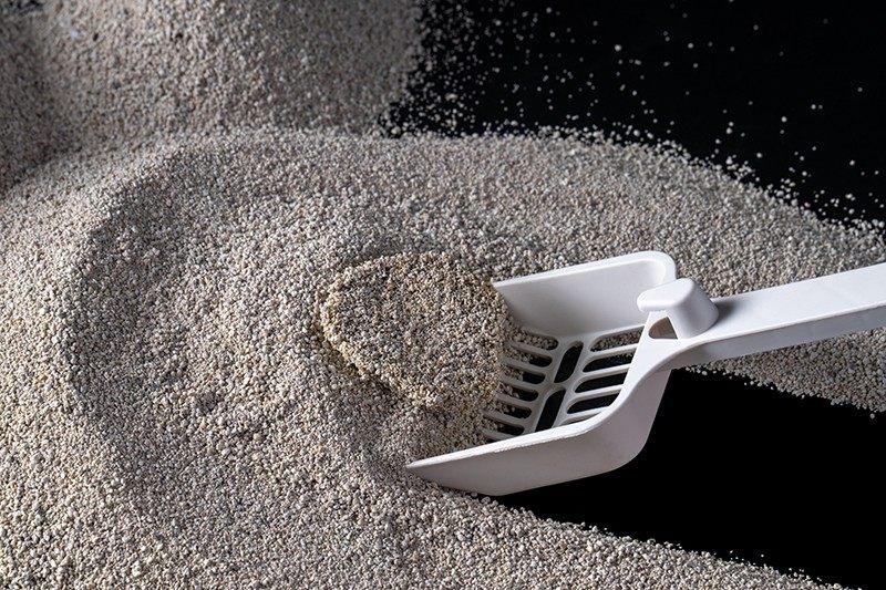 How to Compare Natural Bentonite Cat Litter Manufacturers in 2026