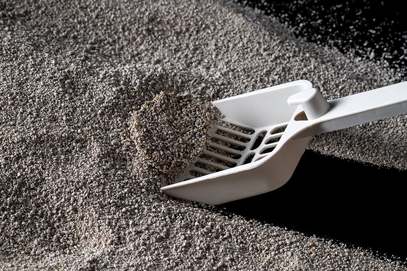 Why do Bentonite clay cat litter OEM service costs vary?