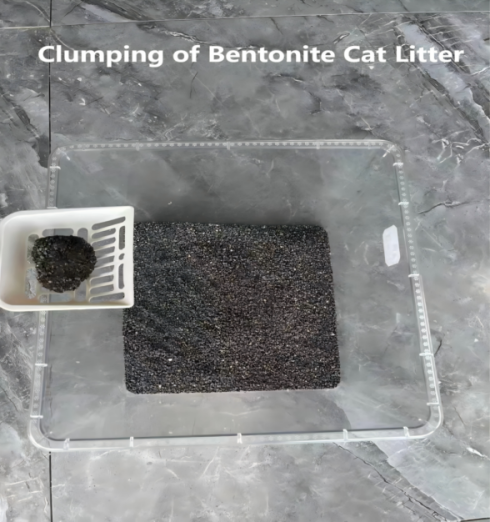 Clumping Performance of Different Cat Litter Types