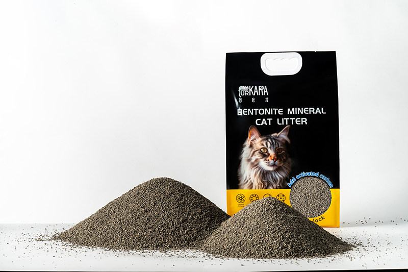 Is Dust-Free Cat Litter the Right Choice for Kittens?