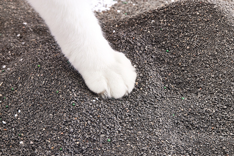 Is Mineral Cat Litter Worth It? Cost, Lifespan, and Daily Use Trade-Offs