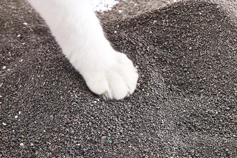 Crushed bentonite cat litter OEM