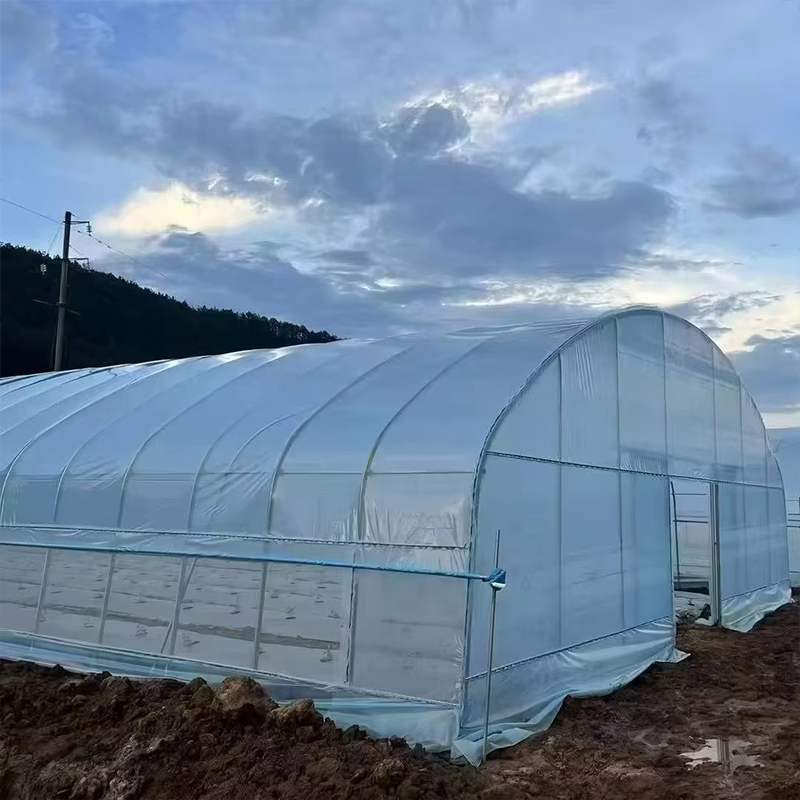 200 micron agricultural and horticultural PE/LDPE plastic film