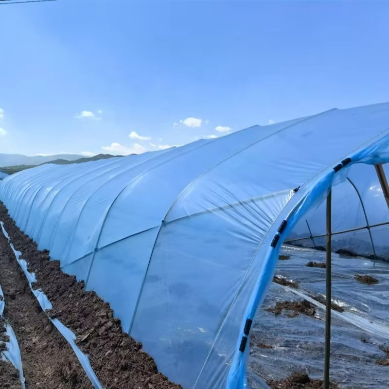 Customized multi-layer agricultural plastic greenhouse PE covering film