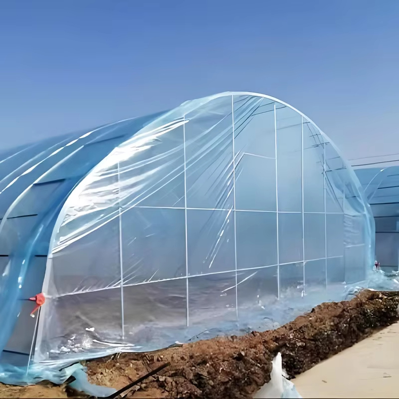 LDPE UV-resistant greenhouse film