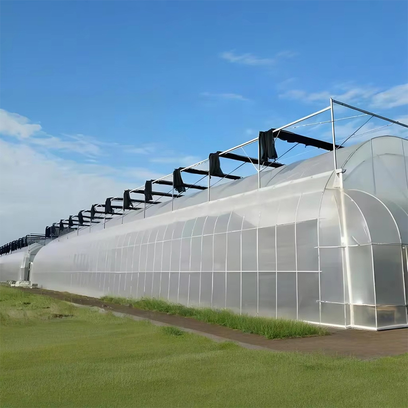 Double-layer transparent agricultural plastic greenhouse film