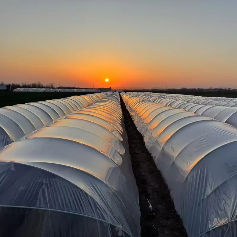 Double-layer transparent agricultural plastic greenhouse film