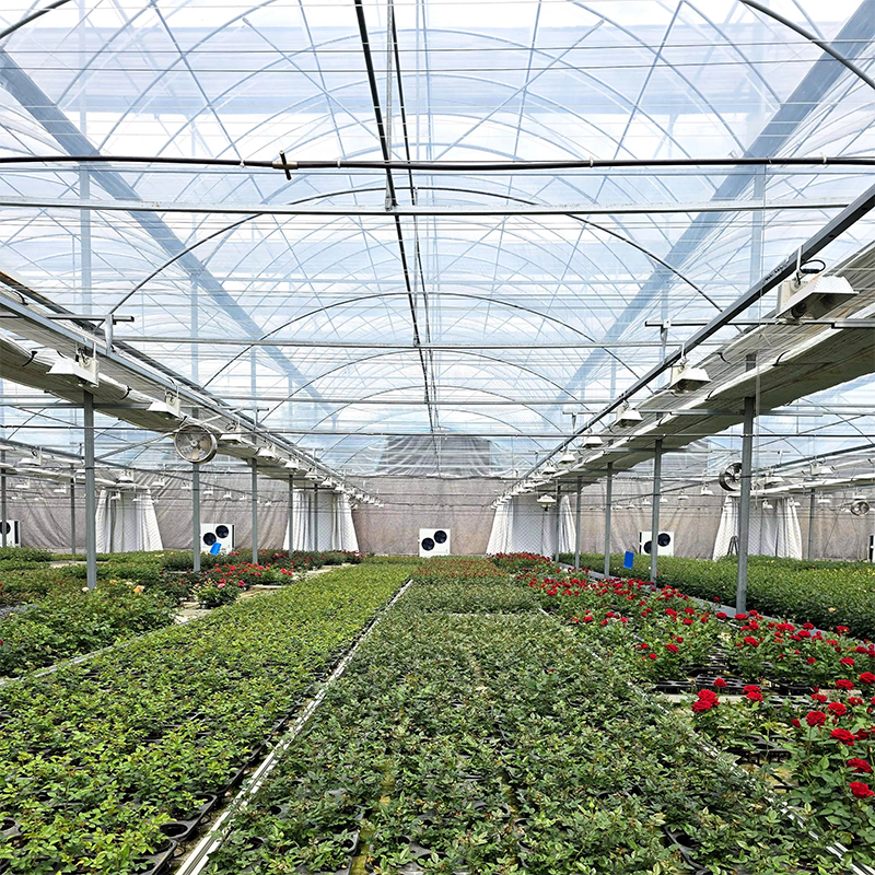 200-micron polyethylene plastic greenhouse covering film