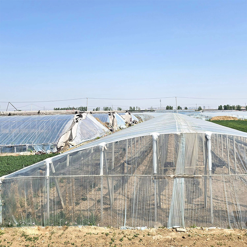 200-micron polyethylene plastic greenhouse covering film