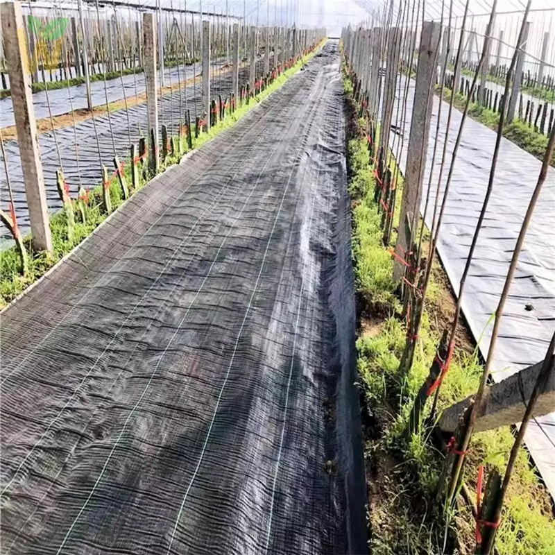 Green and black PP woven weed mat