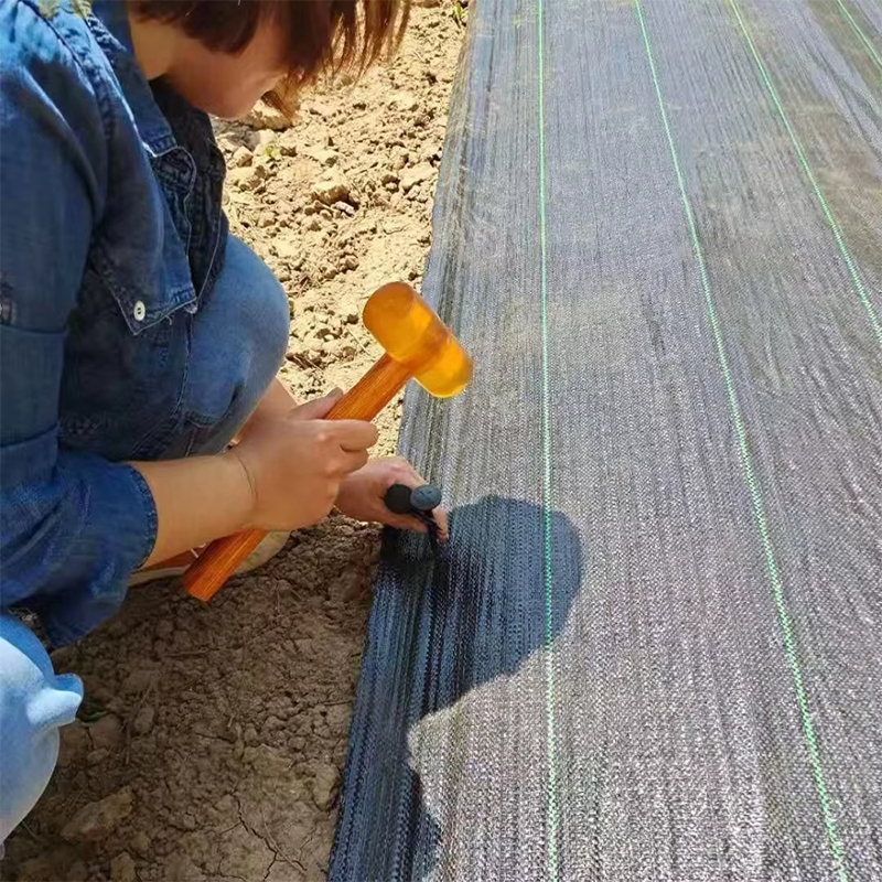 Black PP Woven Fabric Ground Cover Mat Weed Barrier