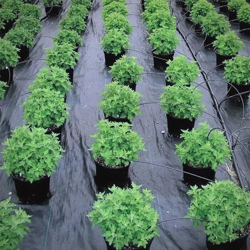UV-resistant weed control fabric