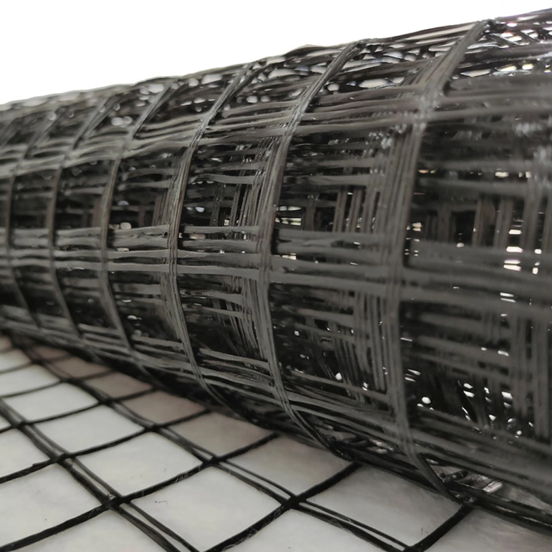 Warp Knitted Polyester Geogrid Use for Embankment and Water Conservancy Projects