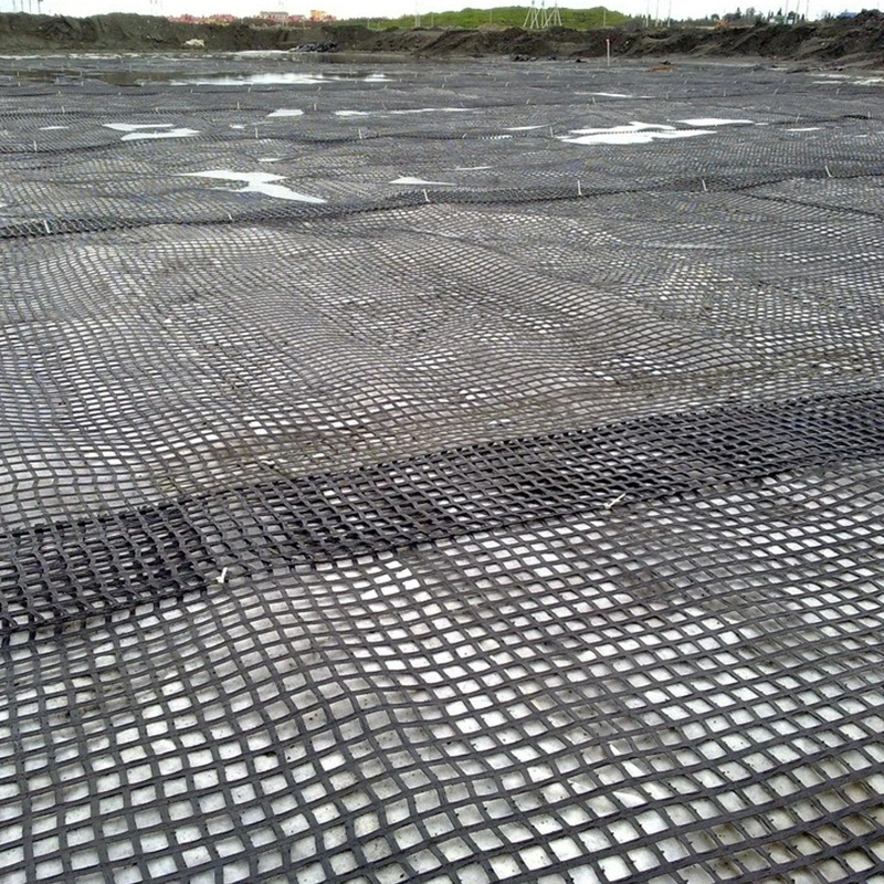 Warp Knitted Polyester Geogrid Use for Embankment and Water Conservancy Projects